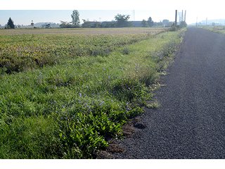 PROPERTY #3 - REAL ESTATE AUCTION IN MERCER COUNTY, OHIO
